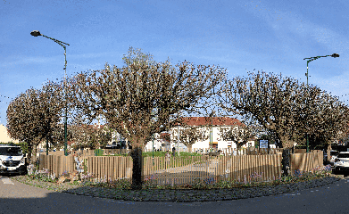 LE CANIPARC DE MITRY image 2